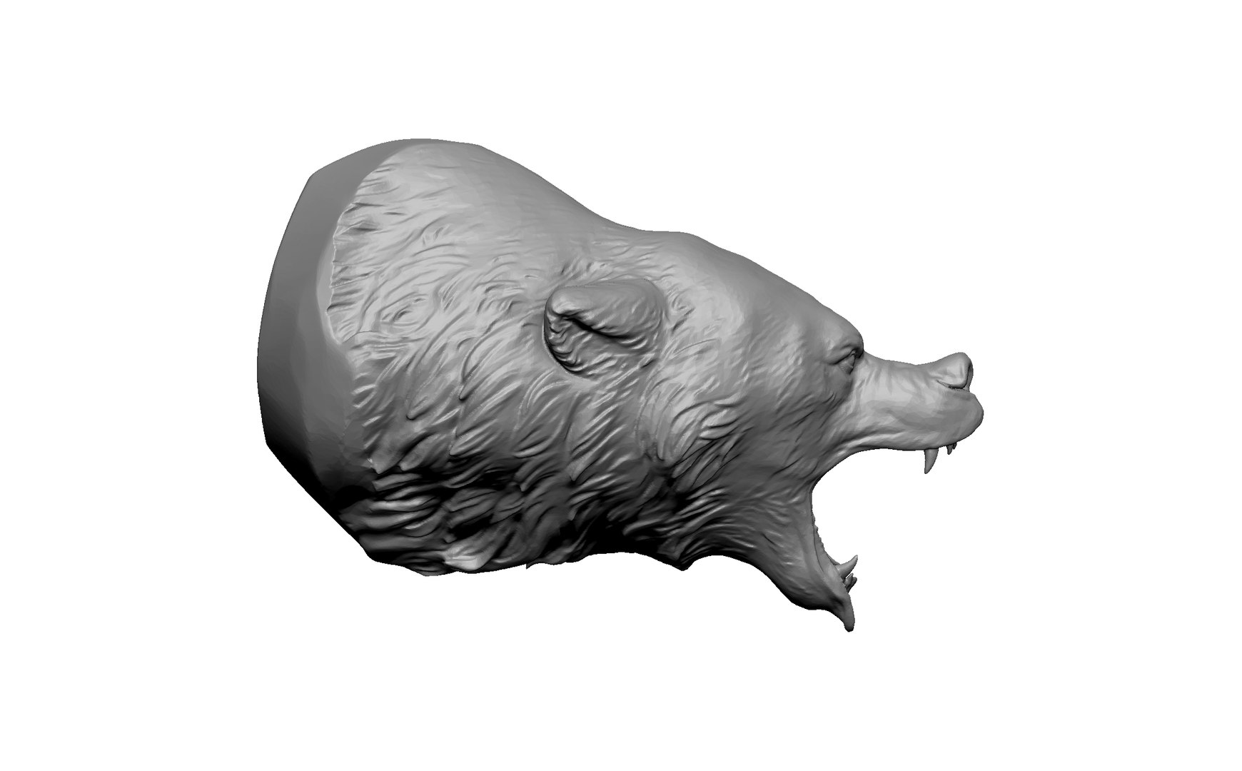 3D bear statue head https://p.turbosquid.com/ts-thumb/93/5Gx7fN/3U/3/jpg/1716303292/1920x1080/fit_q87/954b5535efac08ed6ef3a62df9f945628f131842/3.jpg