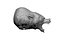 bear statue head