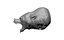 bear statue head