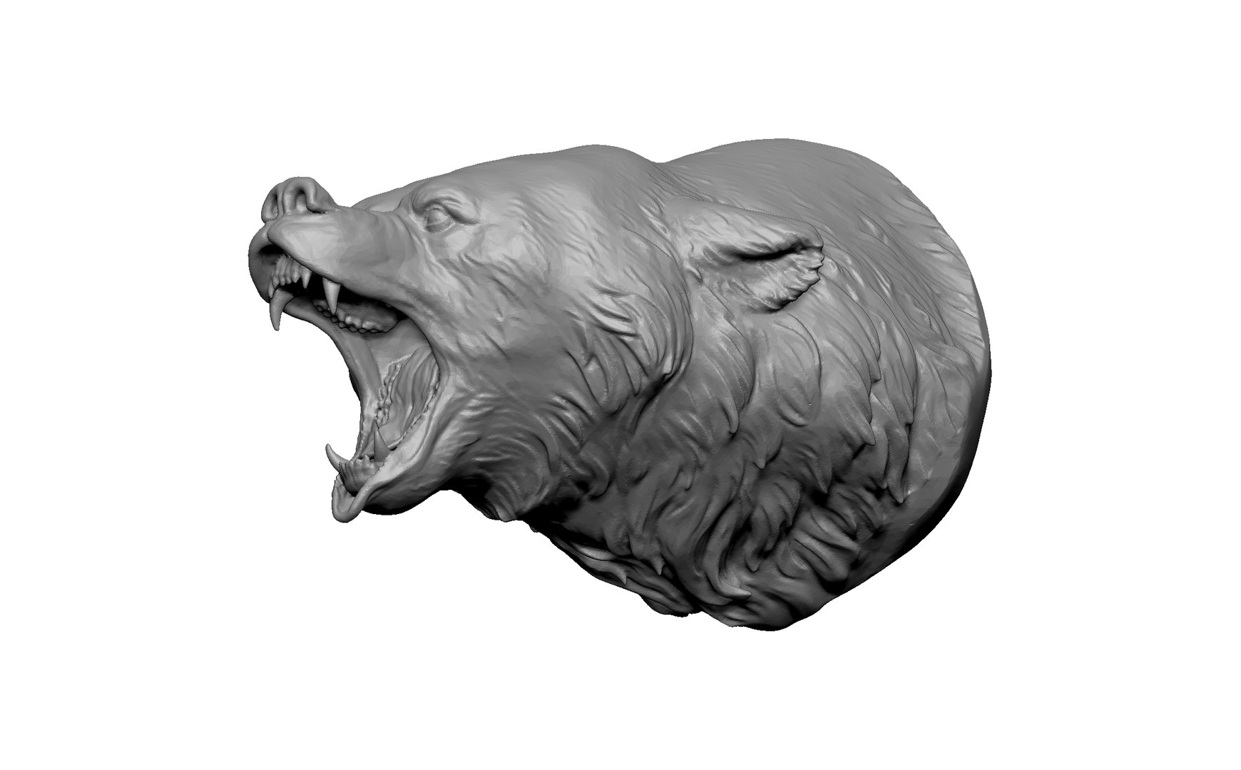 3D bear statue head https://p.turbosquid.com/ts-thumb/93/5Gx7fN/lJ/5/jpg/1716303293/1920x1080/fit_q87/0fc5dcd323b575e38a4c38e084991fca908a530b/5.jpg