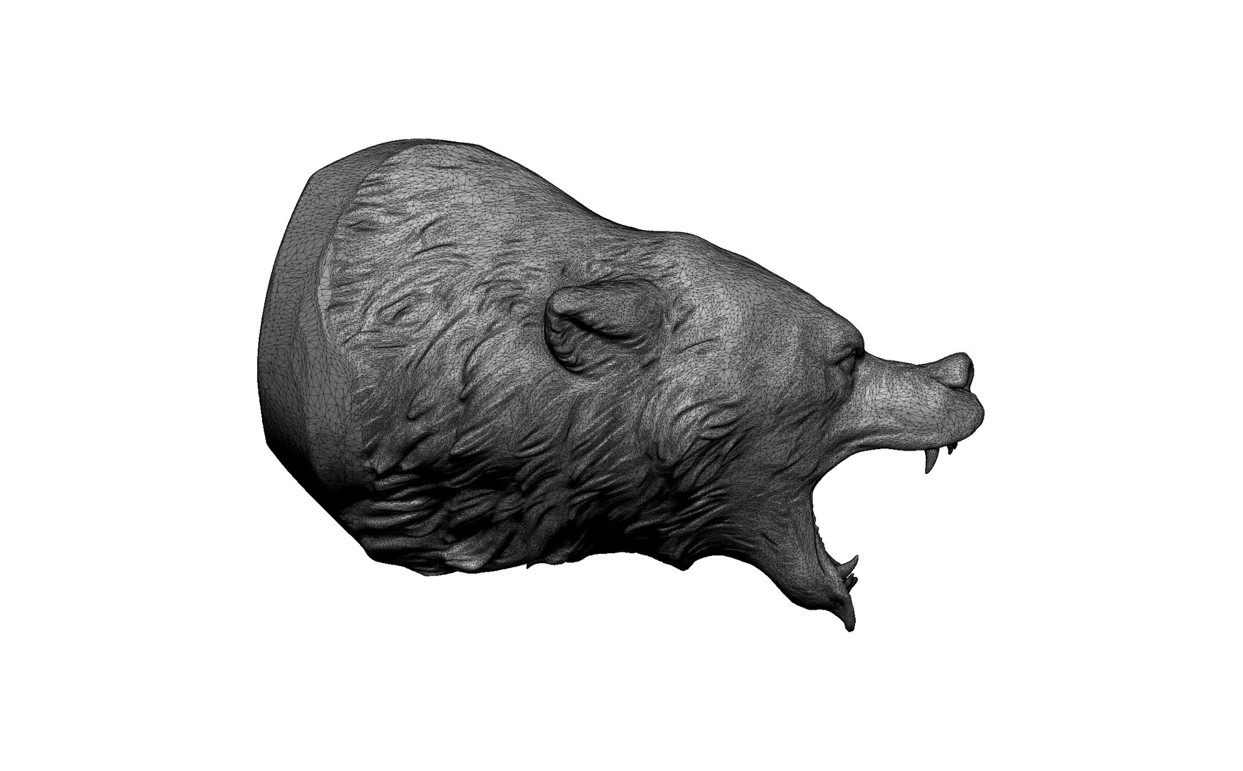 3D Bear Statue Head - TurboSquid 2231834