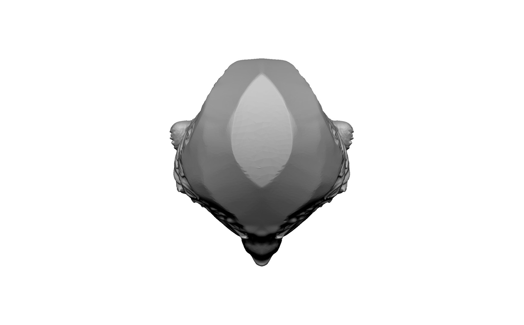 3D bear statue head https://p.turbosquid.com/ts-thumb/93/5Gx7fN/to/2/jpg/1716303291/1920x1080/fit_q87/1b578f5c9ddabad7ff8cf032881e9fab78f7fa67/2.jpg
