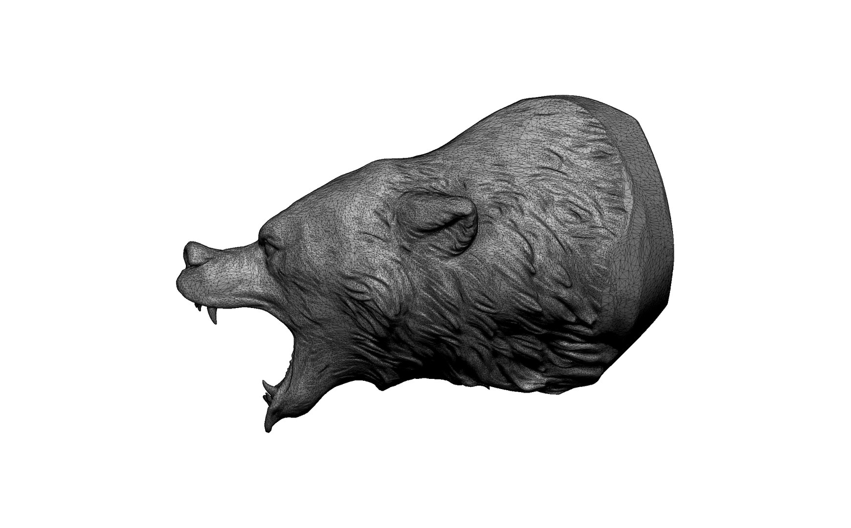 3D bear statue head https://p.turbosquid.com/ts-thumb/93/5Gx7fN/uQ/6/jpg/1716303293/1920x1080/fit_q87/f535382090089c282c26e0bfc75fed4764bdab38/6.jpg