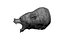 bear statue head