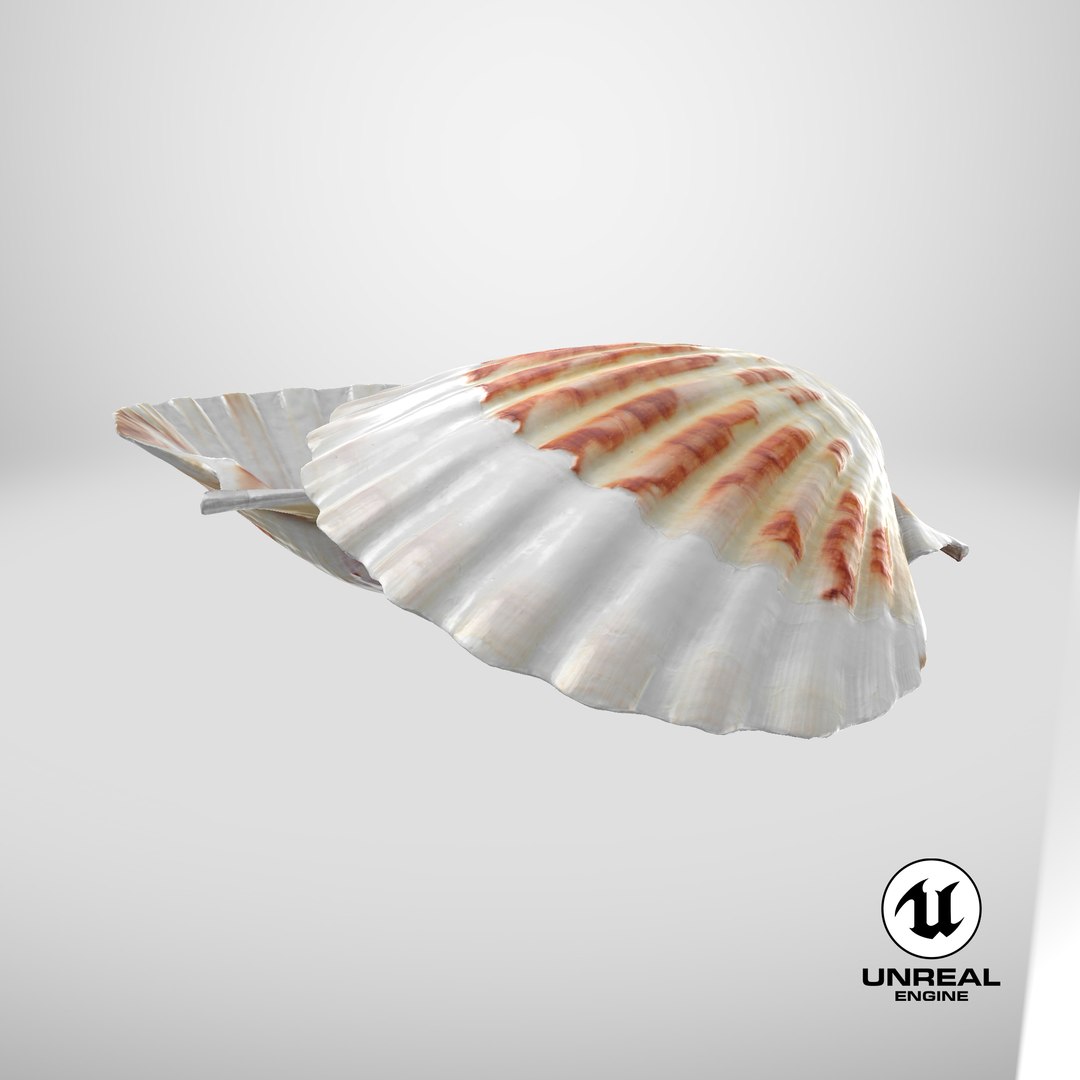 Clam Shell 02 Pose 2 3D Model - TurboSquid 2223907