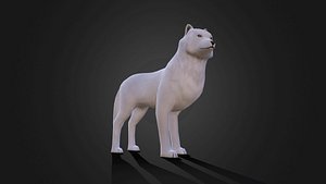 rig animation 3D model