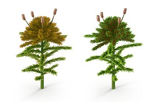 3D Sphagnum fallax