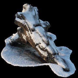 snow-covered wooden driftwood