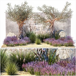 3D Beautiful garden with old olive feather grass lavender flowers 1373 model