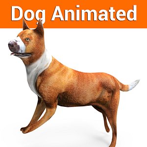 3D german shepherd dog rigged