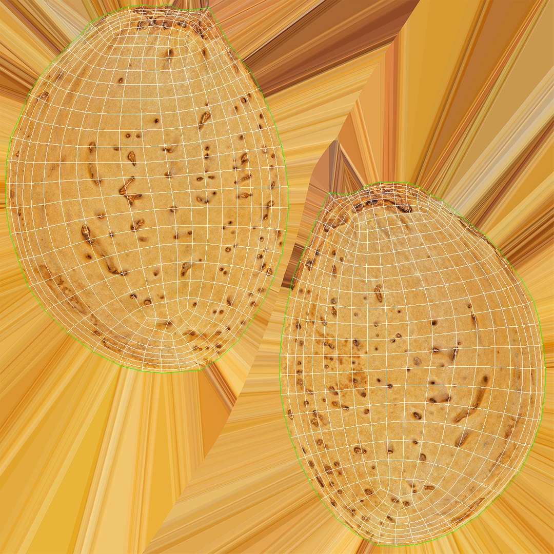 3D model Acorns and Almond With Shell Collection 05 - 3 models https://p.turbosquid.com/ts-thumb/94/E5bUGr/Gq/almond_with_shell_05_wuv/jpg/1650438943/1920x1080/fit_q87/af3a6bcceba50f373684afcd40395b4c85101495/almond_with_shell_05_wuv.jpg
