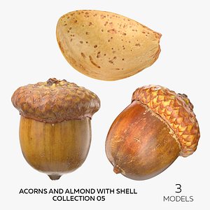 3D model Acorns and Almond With Shell Collection 05 - 3 models