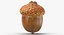 Acorns and Almond With Shell Collection 05 - 3 models