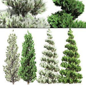 Evergreen and snow dusted pine landscape pine trees 3D model