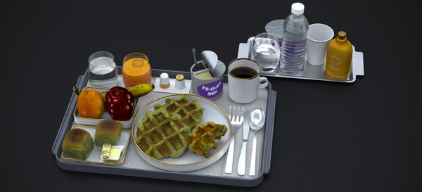 AIRLINE PREMIUM ECONOMY CONTINENTAL BREAKFAST 2024 3D model