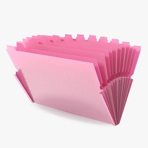 Pocket File Folders Open Pink 3D model