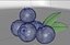 obj bluberries blueberry