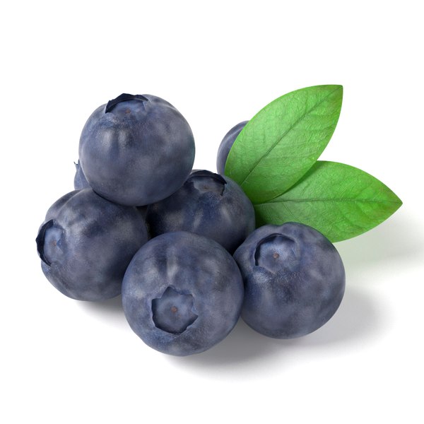 obj bluberries blueberry