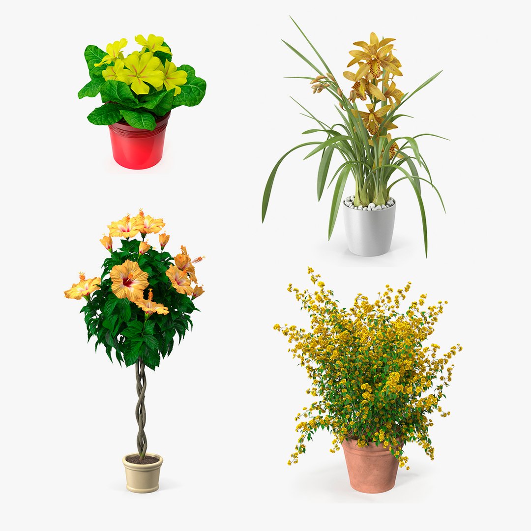 Flower Pots Collection 6 3D model preview
