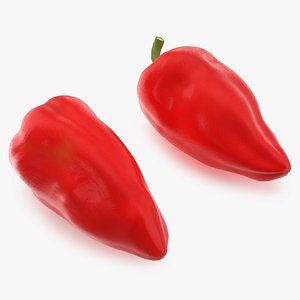 3D Red Long Pepper model