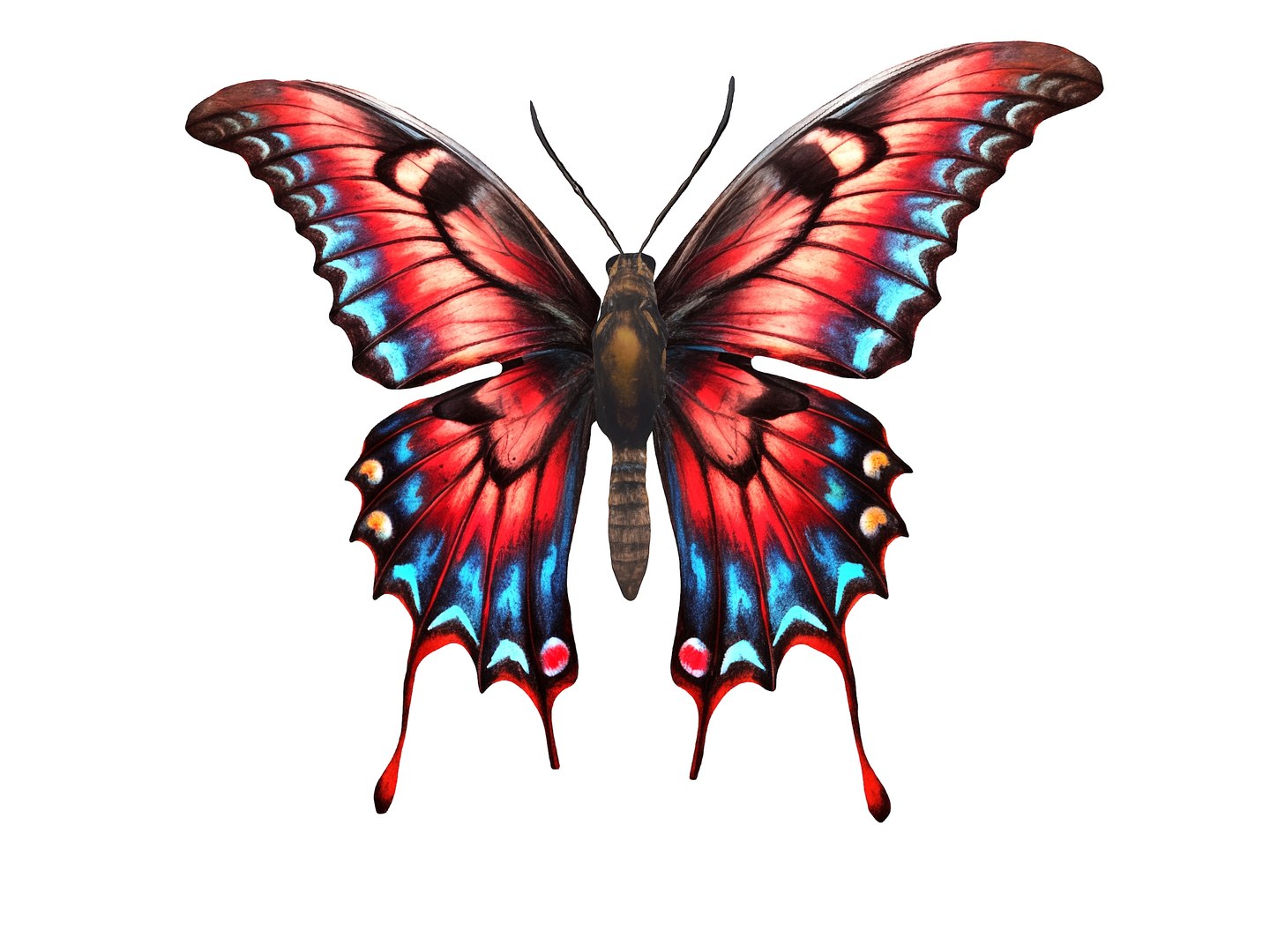 3D Model Butterflies Pack - TurboSquid 2151190