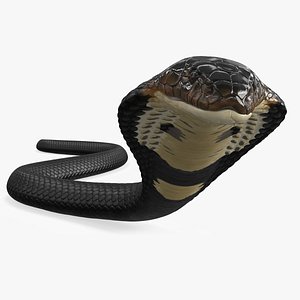 Dark Skin Cobra Crawling Animated Rigged