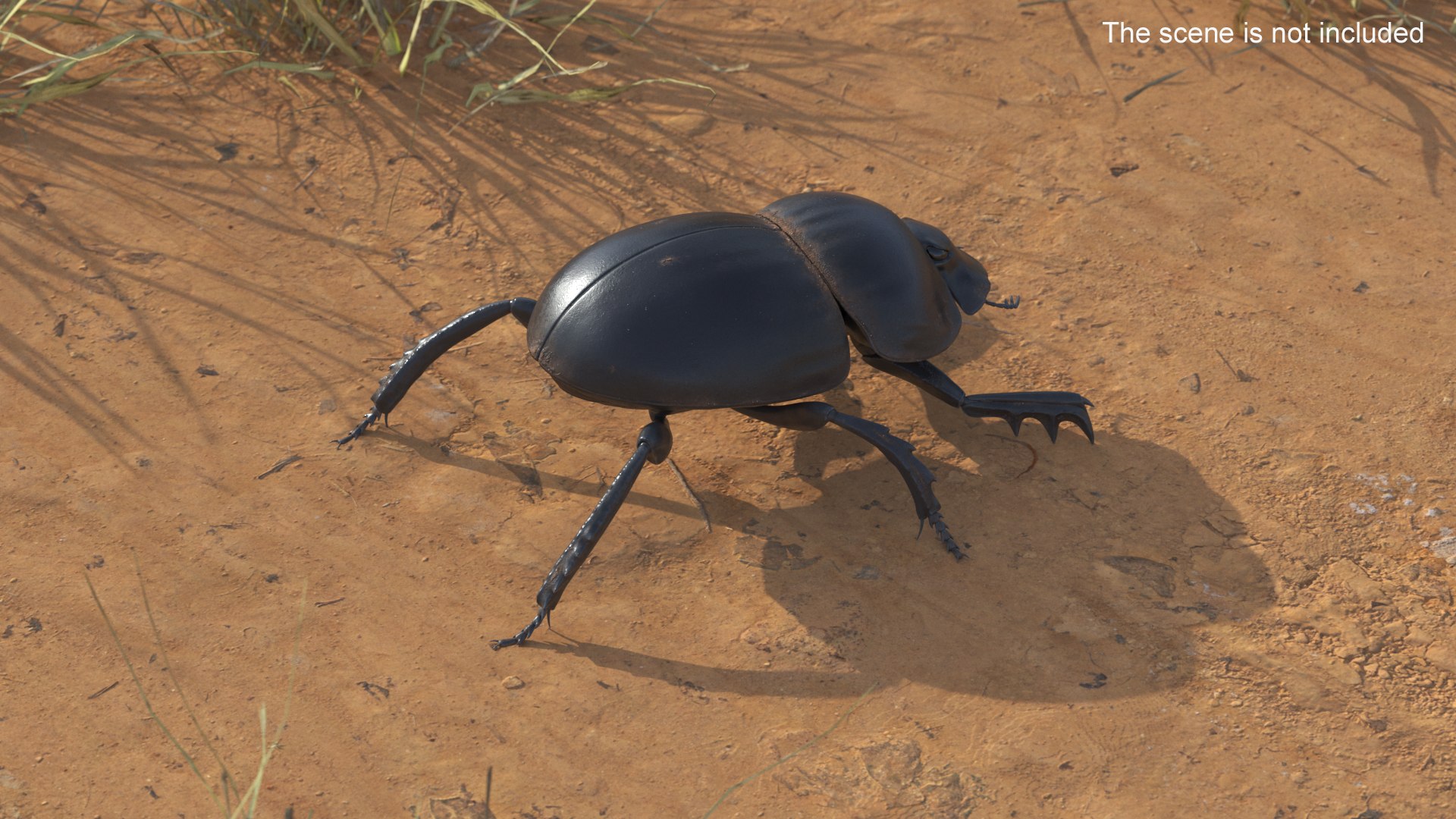 Manure Roller Beetle Dirty 3D model https://p.turbosquid.com/ts-thumb/94/euHYMo/Da/manurerollerbeetledirtyvray3dmodel003/jpg/1729966909/1920x1080/fit_q87/001969d2d384bb2af8d3b2565527d5585e6fc537/manurerollerbeetledirtyvray3dmodel003.jpg