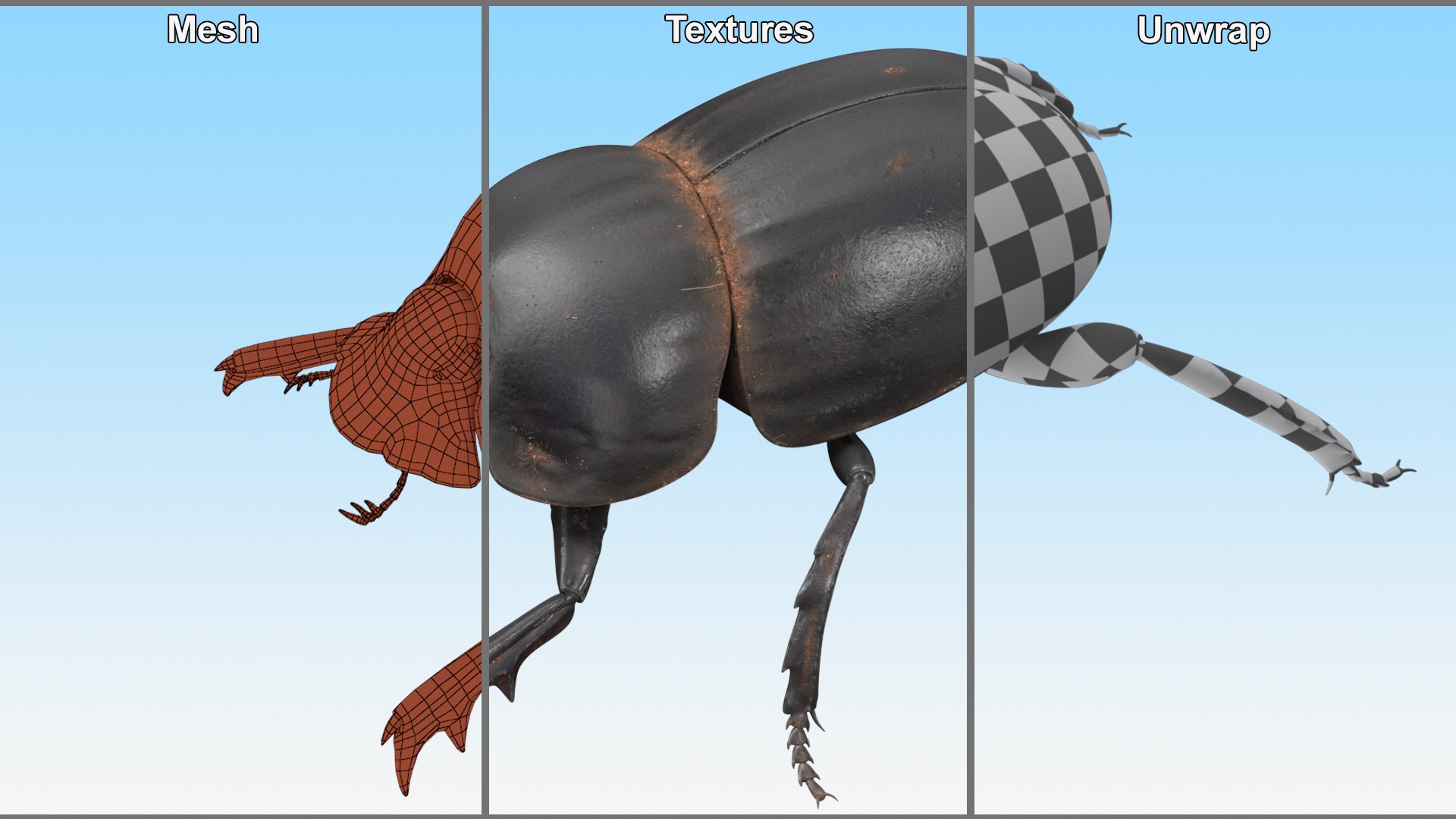 Manure Roller Beetle Dirty 3D model https://p.turbosquid.com/ts-thumb/94/euHYMo/Oy/manurerollerbeetledirtyvray3dmodel009/jpg/1729966942/1920x1080/fit_q87/629aa75d64fcf9a2eb6565b274882ba9a762f38c/manurerollerbeetledirtyvray3dmodel009.jpg