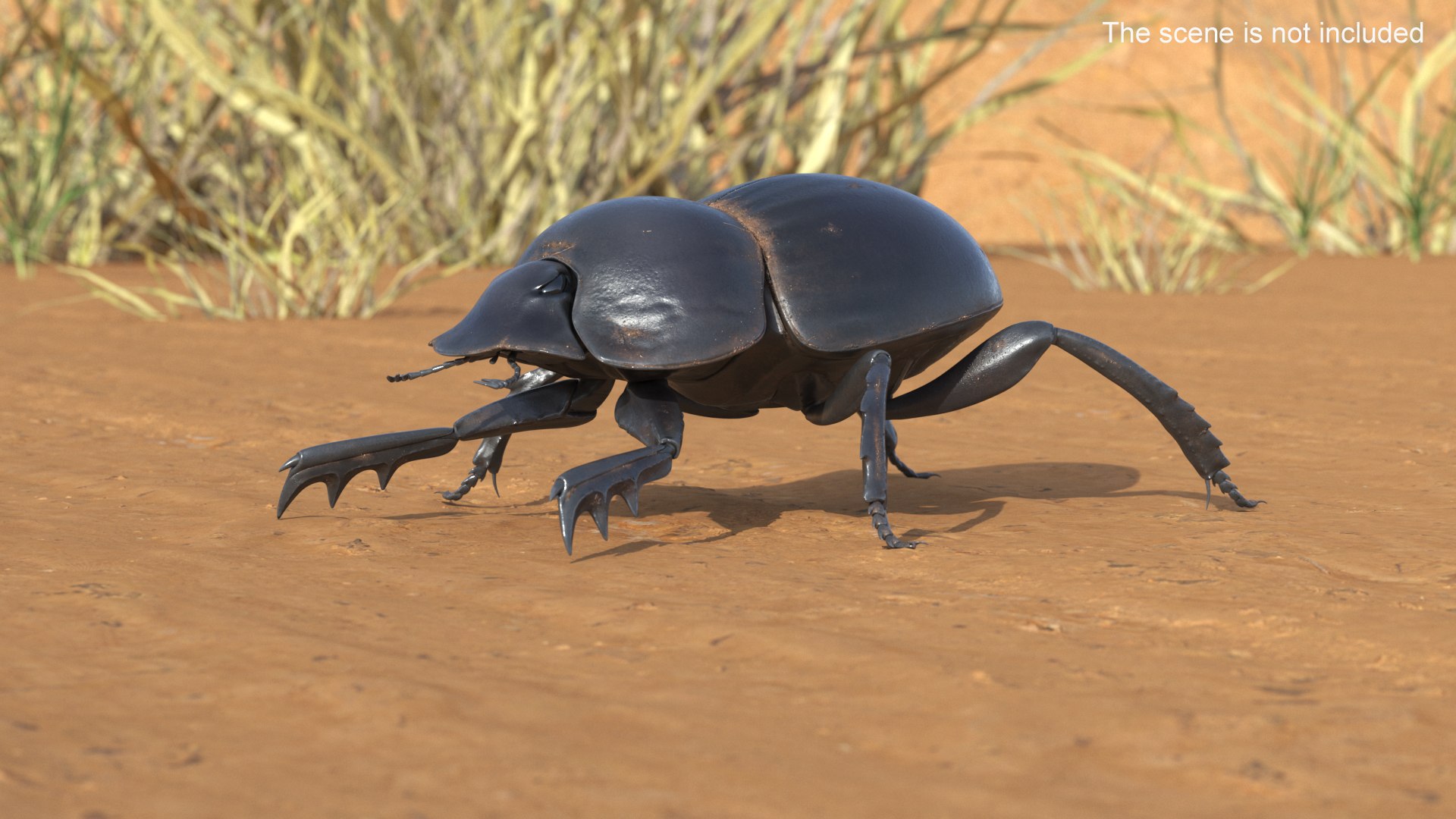 Manure Roller Beetle Dirty 3D model https://p.turbosquid.com/ts-thumb/94/euHYMo/j5/manurerollerbeetledirtyvray3dmodel002/jpg/1729966903/1920x1080/fit_q87/8baa00d976d5d217b9214c469b5ea1861ab98d92/manurerollerbeetledirtyvray3dmodel002.jpg
