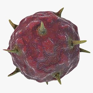 3d b lymphotropic virus model