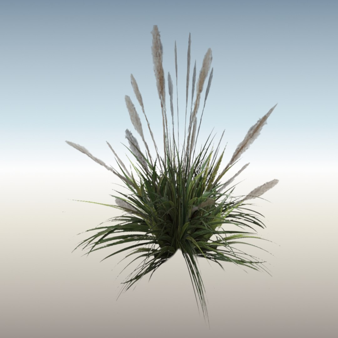 optimized bush 3d model https://p.turbosquid.com/ts-thumb/94/jYcEDu/TlLYVAEt/bush_perspective2/jpg/1408033358/1920x1080/fit_q87/0fd774c389a4837c3520777ddaf7e299673f1987/bush_perspective2.jpg