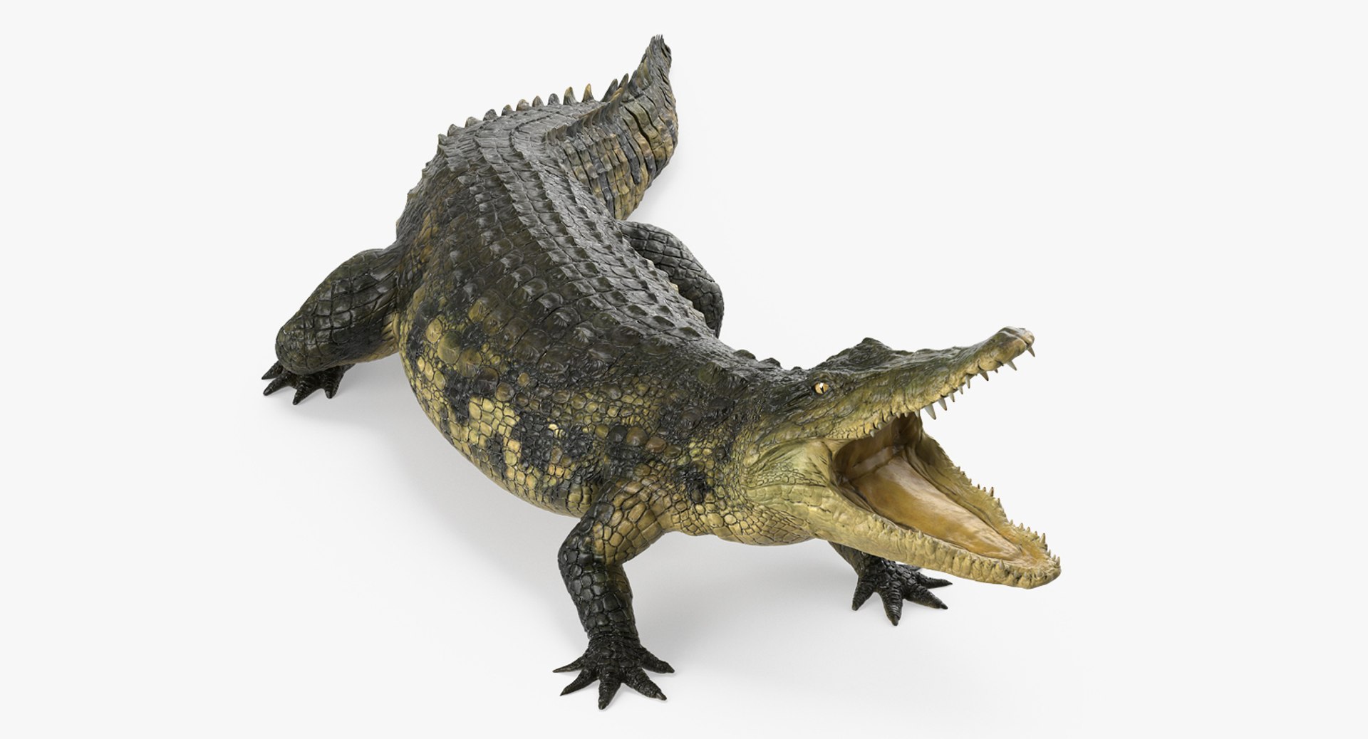 Crocodile Attacks Pose 3D Model 3D model preview