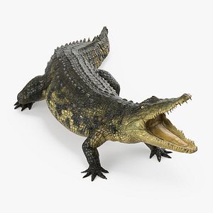 3d max crocodile attacks