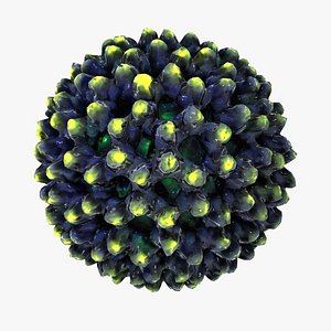 virus dna biology 3d model