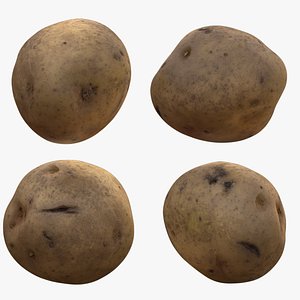 PhotoScan Potato 3D