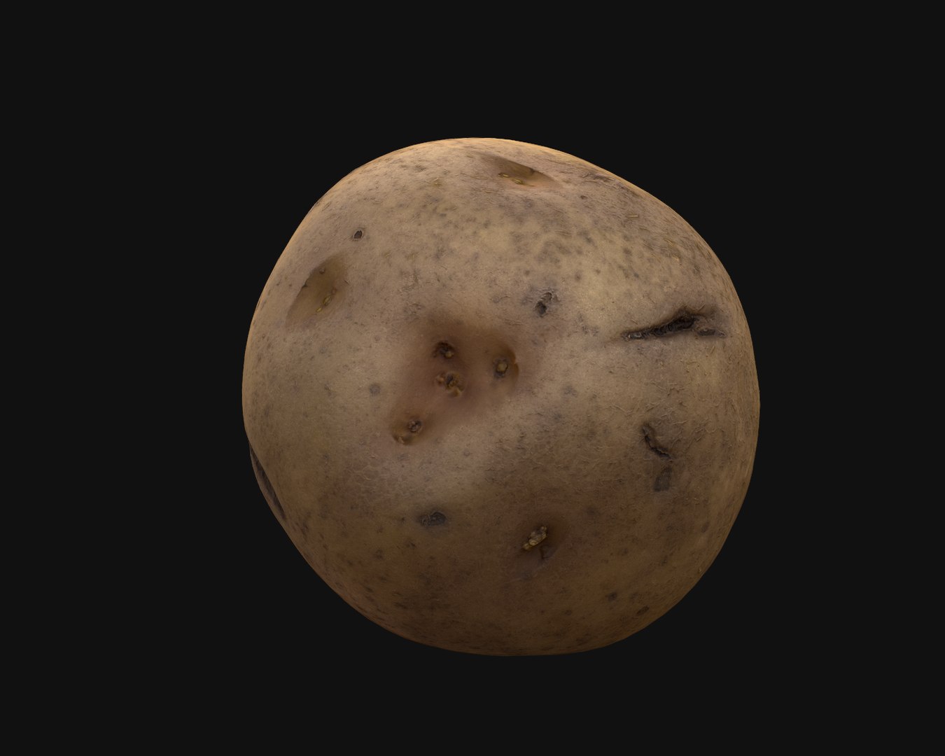 PhotoScan Potato 3D https://p.turbosquid.com/ts-thumb/94/oGN0Eu/yB/potato_productshot_01/png/1618893303/1920x1080/fit_q87/4c8a4e1fdfe591b18b67d3a4c6cd2d301db3ab91/potato_productshot_01.jpg