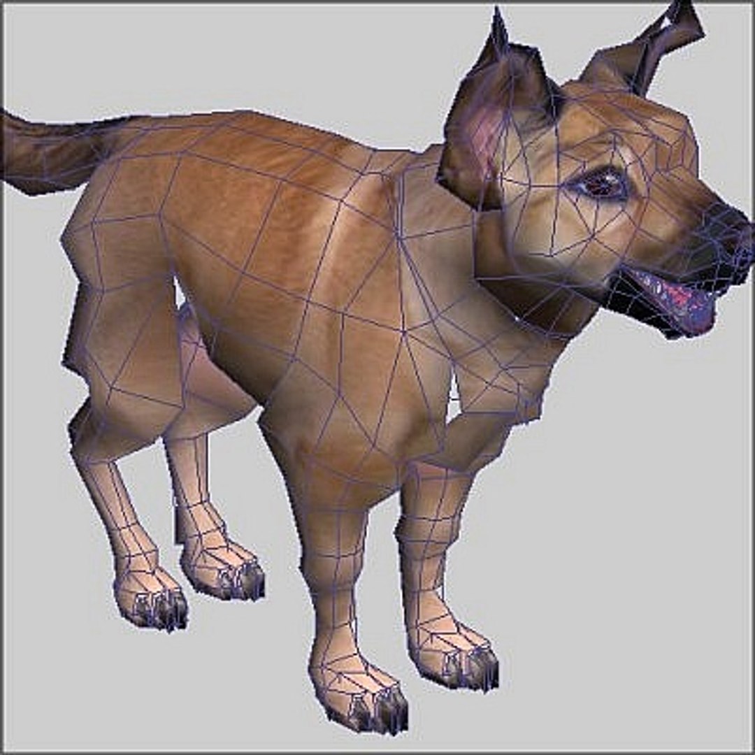 Dog Canine 3d Model