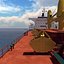 Mediterranean Eagle Bulker Ship