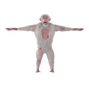 3D chimpanzee model