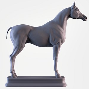 Arabian Horse 3D model