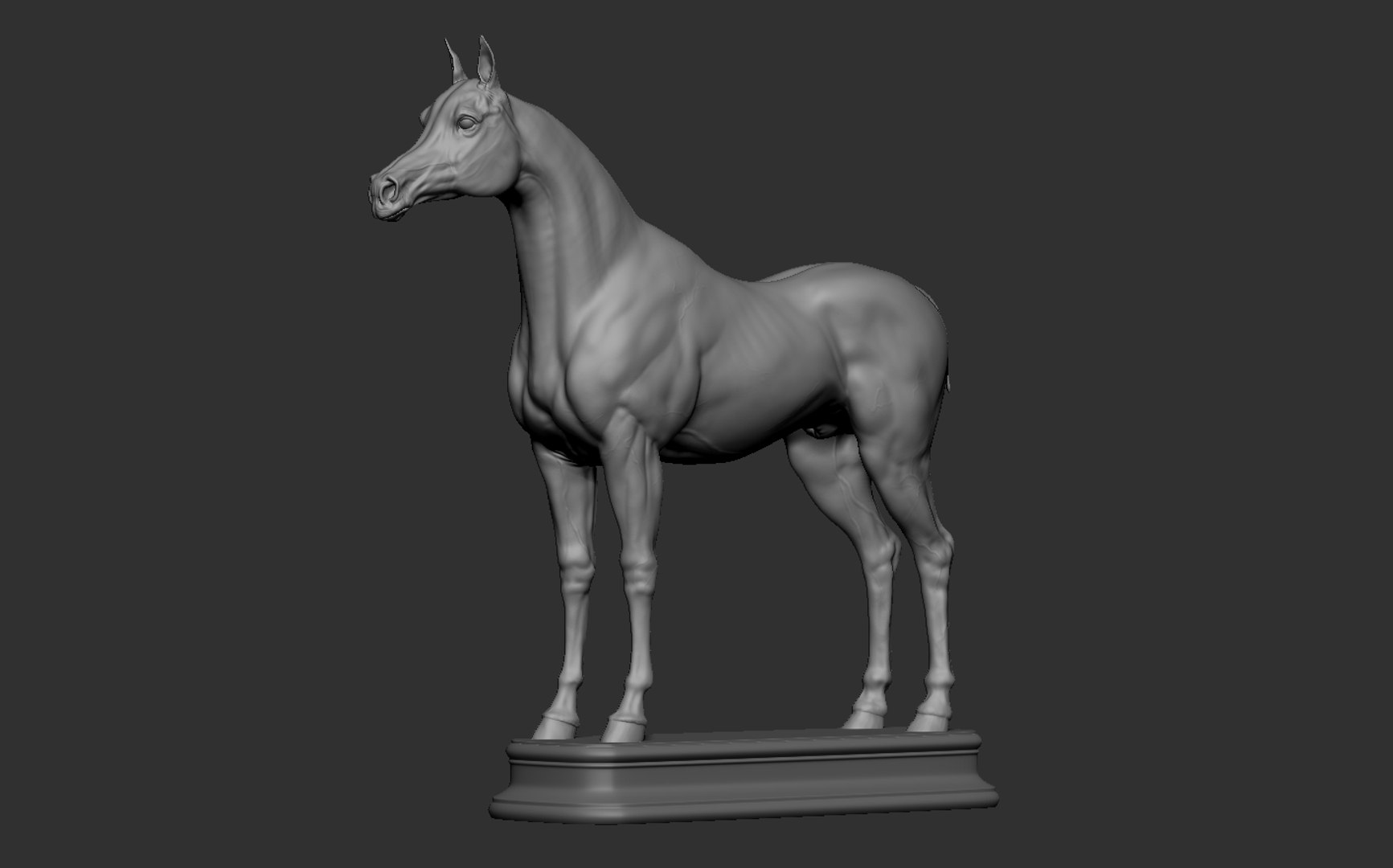 Arabian Horse 3D model - TurboSquid 2040085