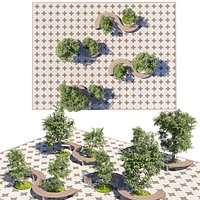 Outdoor Public Park Curved Wooden Bench and Tree Set