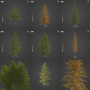 2021 PBR Western Larch Collection - Larix Occidentalis 3D model
