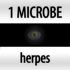 microbes micro organisms 3d max