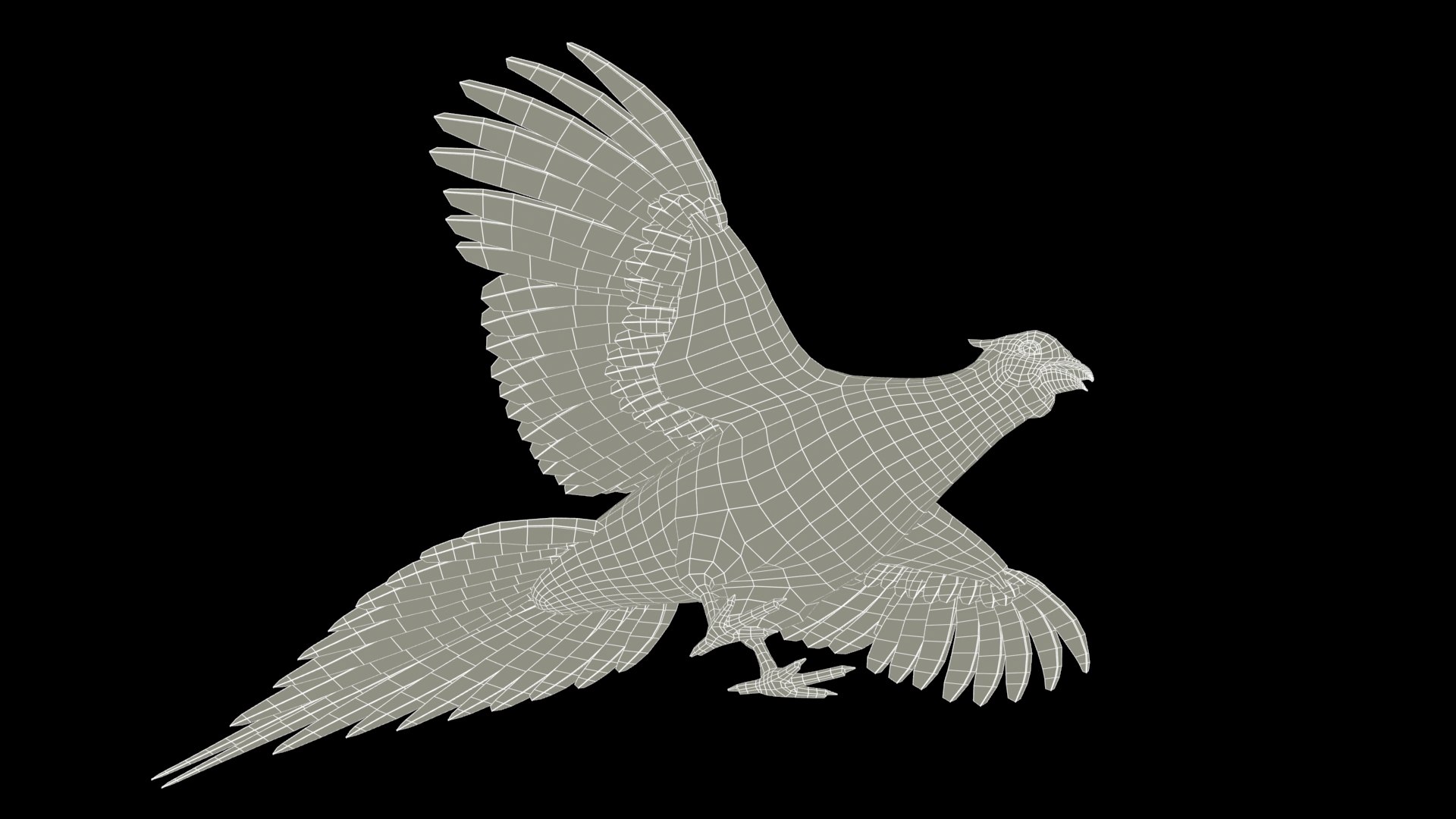 Pheasant 3D model https://p.turbosquid.com/ts-thumb/95/HBhQp6/YY/pheasant_screenshot_wire3/jpg/1725274947/1920x1080/fit_q87/5413b45fe14133b2cbb1a469d1a314ad5b856688/pheasant_screenshot_wire3.jpg