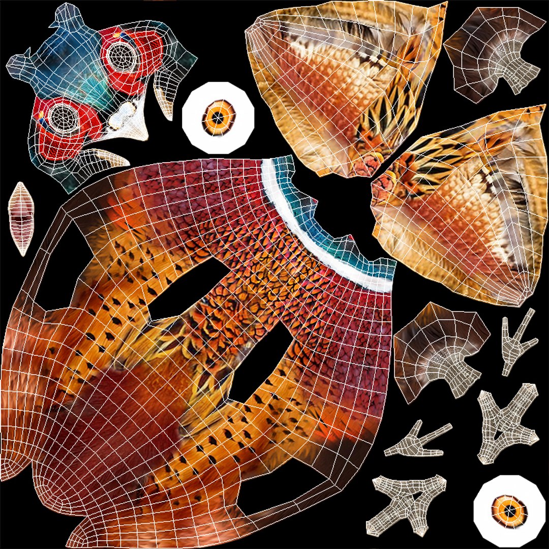 Pheasant 3D model https://p.turbosquid.com/ts-thumb/95/HBhQp6/kw/t_pheasant_uv/jpg/1725275260/1920x1080/fit_q87/86a3d52e1ab5699f918731e2e5a21cce31d92c6c/t_pheasant_uv.jpg
