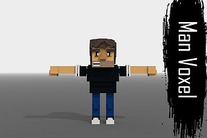 3D model voxel man