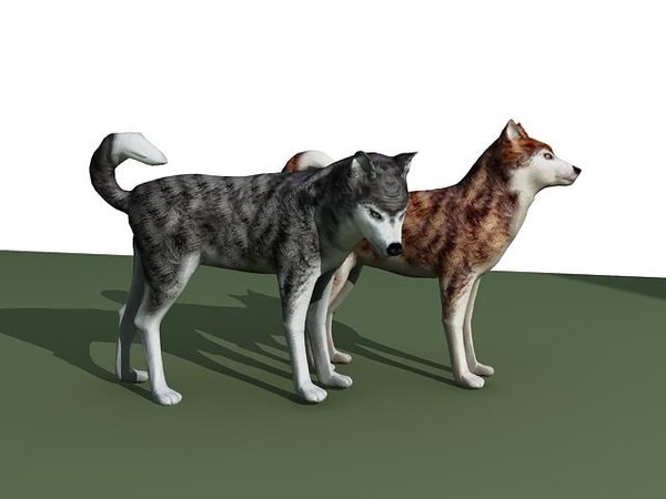 3d model sled sleddog dog