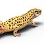 3d leopard gecko pose modeled model