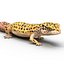 3d leopard gecko pose modeled model
